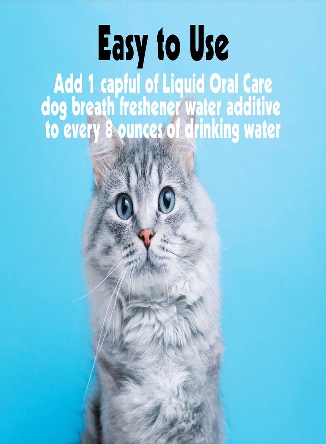 بيتكين تركيبة سائلة للعناية بالفم، أسنان ولثة، نفس منعش - Image 4